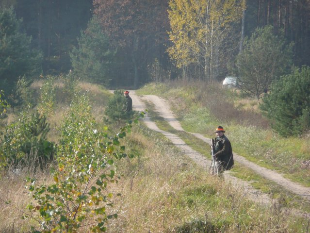 Polowania 26.10.08